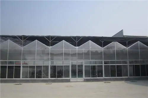 u=3456726167,2653002087&fm=26&fmt=auto.webp.jpg u=3456726167,2653002087&fm=26&fmt=auto.webp.jpg